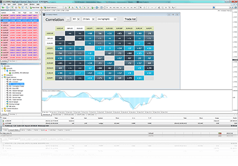 Correlation Matrix