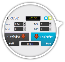 Trade Terminal Zoom